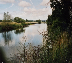 The River Trent upstream of Burton on Trent, 2010
