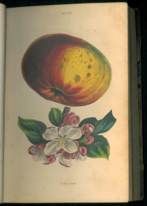 Court Pendu from Rare Books Perkins SB 356 Charles McIntosh The orchard (London, 1839)