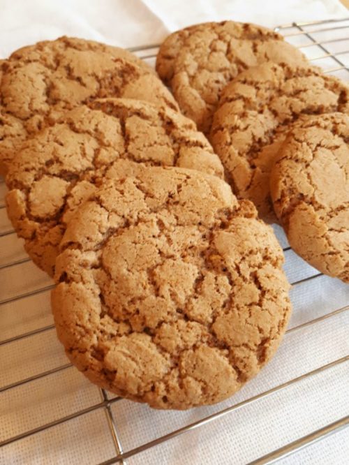 Ginger biscuit photo