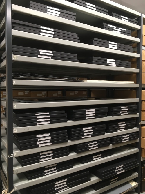 Acid-free print boxes on archives shelving