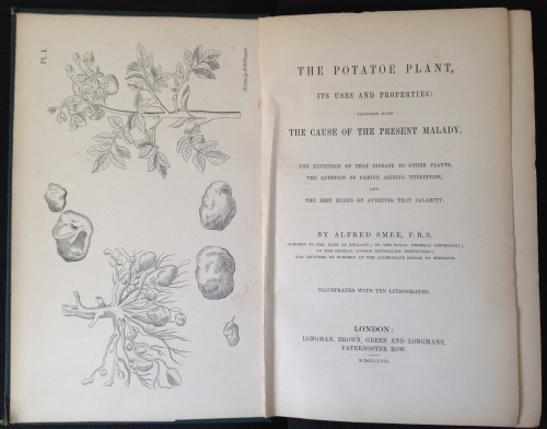The Potatoe Plant, Its Uses and Properties: together with the cause of the present malady.. By Alfred Smee F.R.S., London 1846, Perkins SB 211.P8