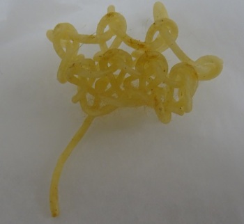 Sample of knitted spaghetti, one of the unusual items featured on Twitter for Explore Your Archive