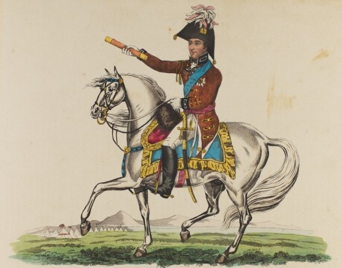 Illustration of the Duke of Wellington [MS351 A4170/9]