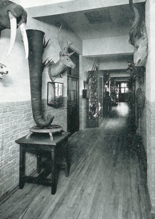 Corridor in the zoological laboratory from the University College Southampton Prospectus, 1934 [MS 224/22]