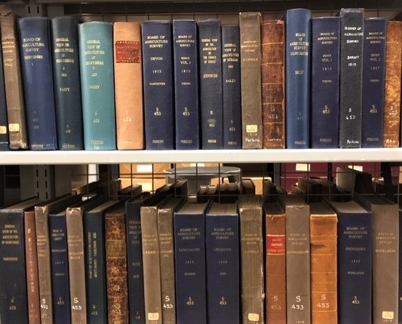 Reports on shelves in Library
